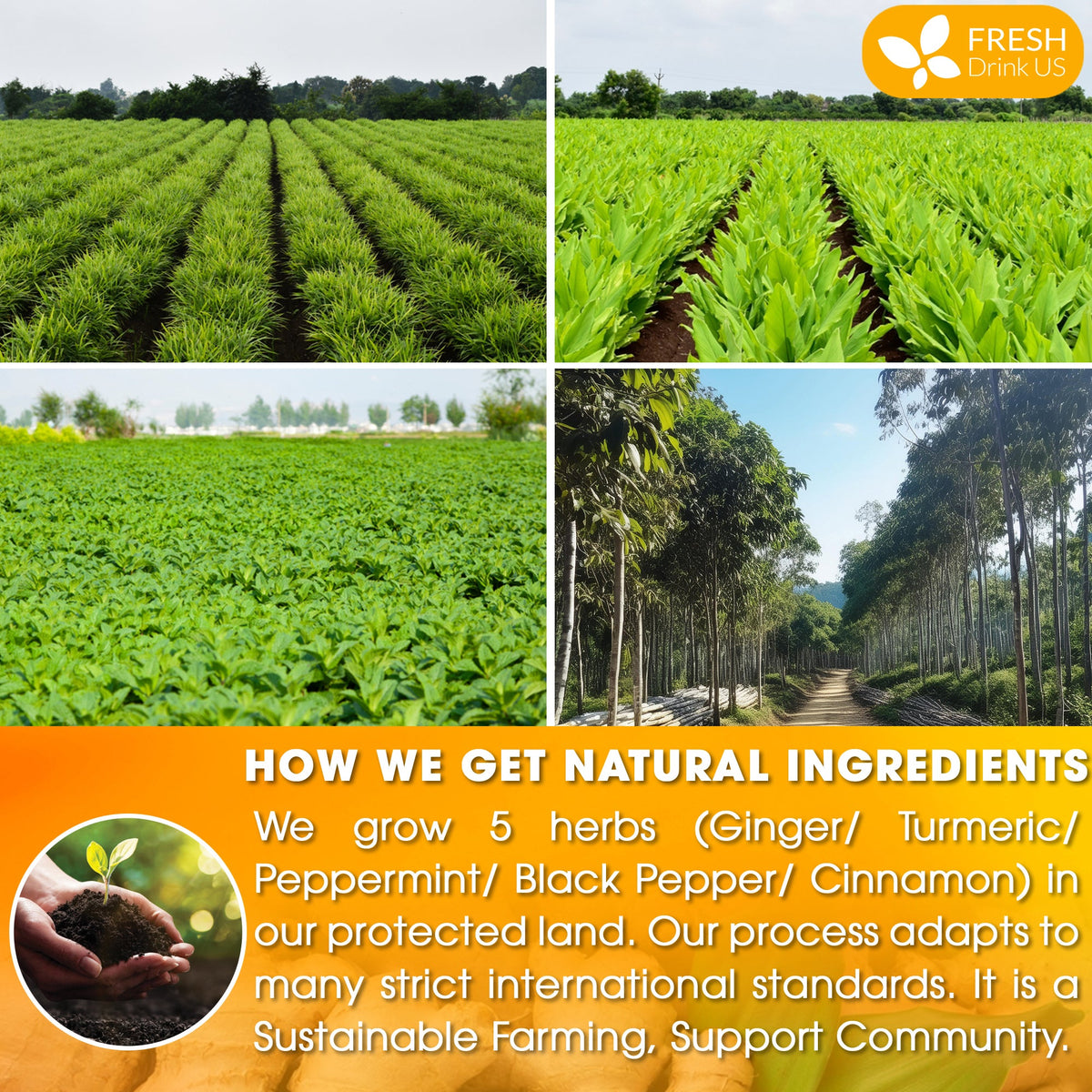 Anti-Inflammaheb Loose Leaf Tea
