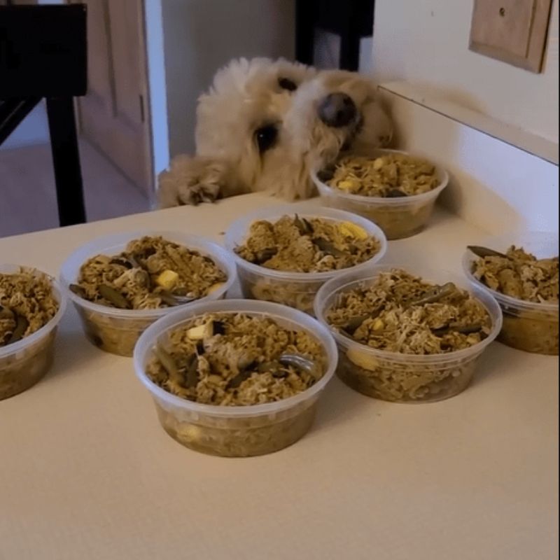 The Original Crockpet Diet™ Ebook and Recipes