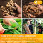 Anti-Inflammaheb Loose Leaf Tea