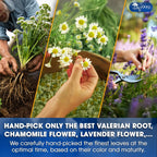 Premium Valerian Tea