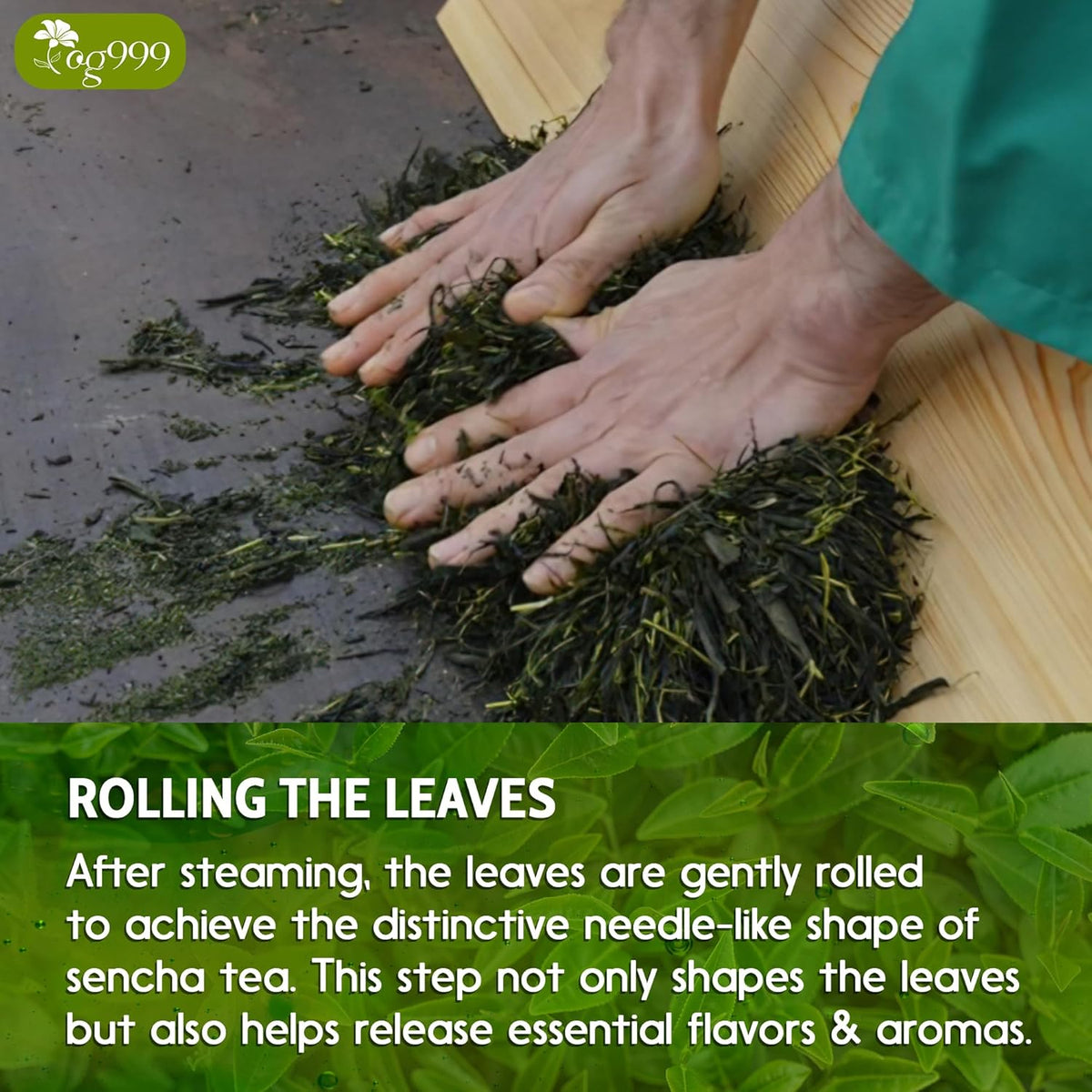 Premium Sencha Green Tea Bags
