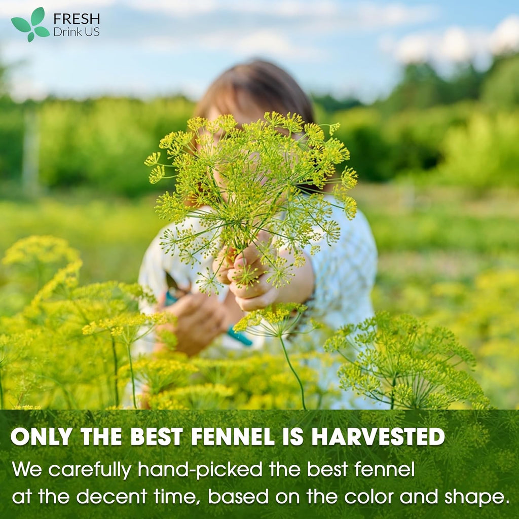 Premium Fennel Tea Bags
