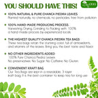 Dried Chanca Piedra Leaves, Chanca Piedra Tea “Stone Breaker” Tea Bags