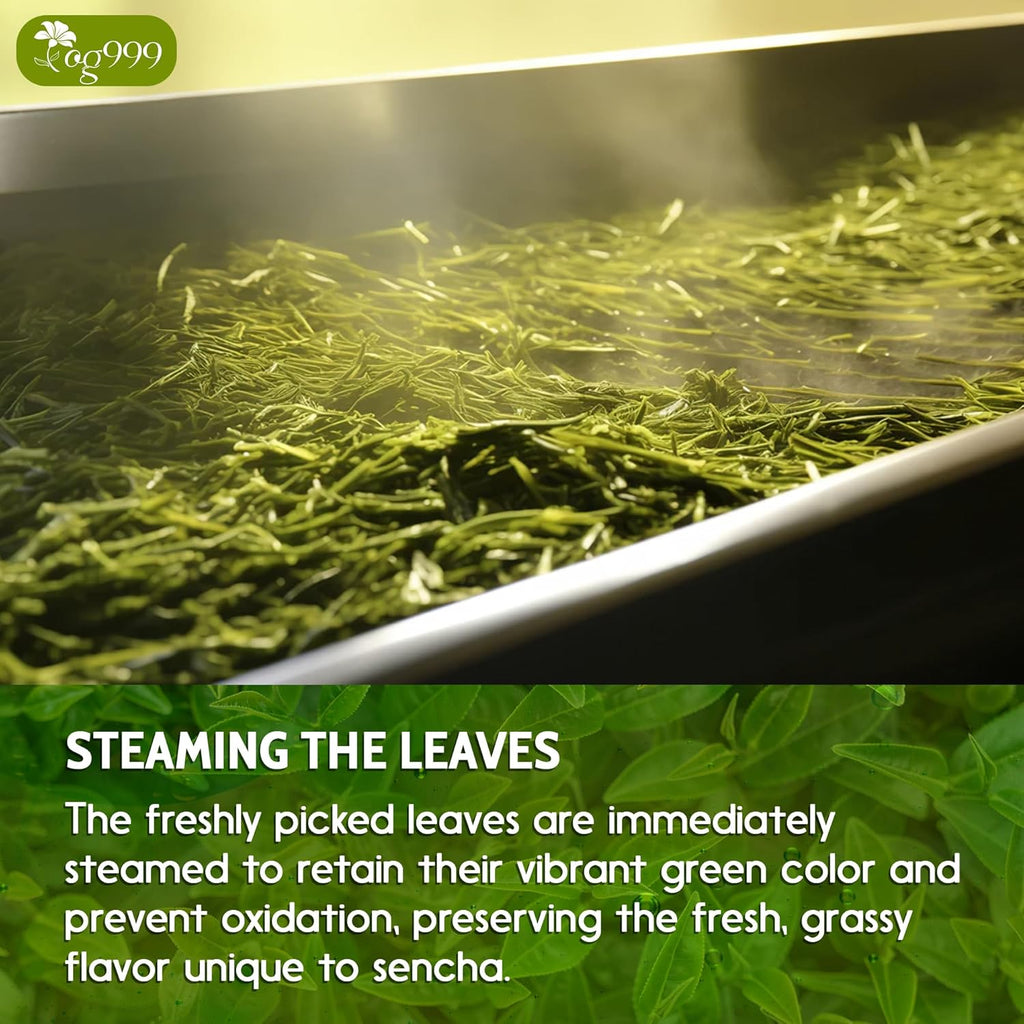 Premium Sencha Green Tea Bags