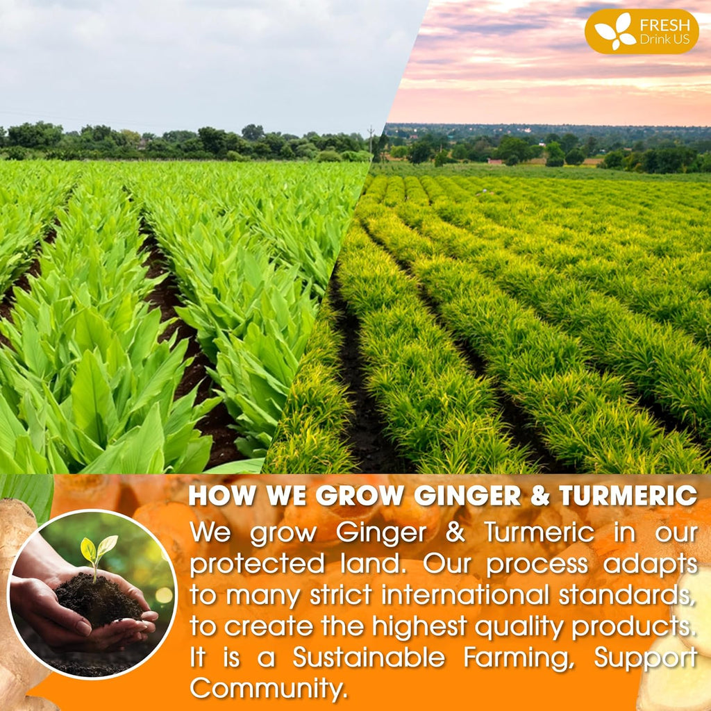 Premium Ginger Turmeric Tea Bags