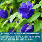 Premium Butterfly Pea Flowers Tea Bags