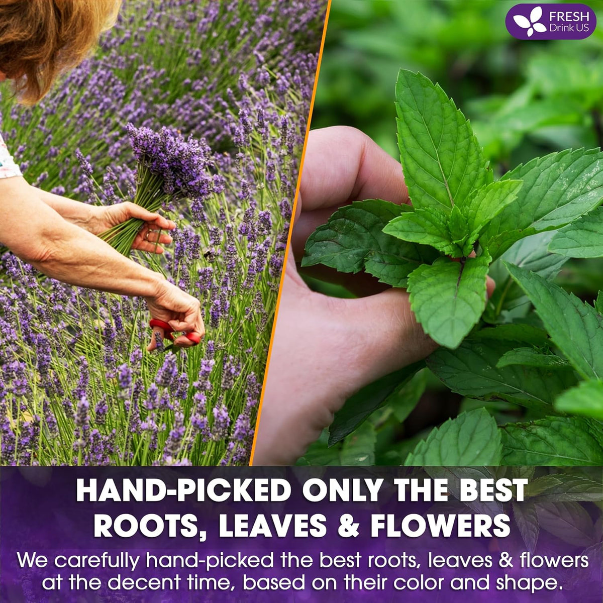 Premium Lavender Mint Tea Bags
