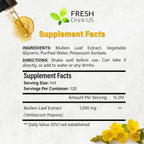Mullein Drops for Lungs Cleanse Support, Mullein Extract Liquid – 100% from Natural Mullein Leaves, Non-GMO, Gluten-Free