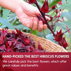 Hibiscus Dried Flowers Tea Bags