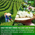 Premium Jasmine Green Tea Bags