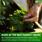 Premium Parsley Leaf Tea Bags, 100% Natural & Pure from Parsley Leaves.