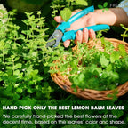 Premium Lemon Balm Leaf Tea Bags