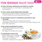 Premium Marshmallow Root and Leaf Tea Bags, 100% Natural & Pure.
