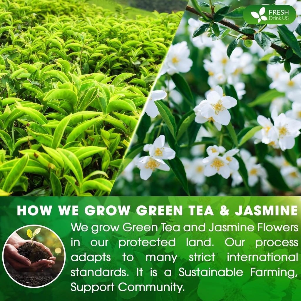 Premium Jasmine Green Tea Bags