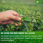 Premium Green Tea Bags