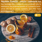 Turmeric, Ginger, Cinnamon Tea Bags