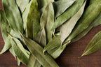 California Bay Leaf