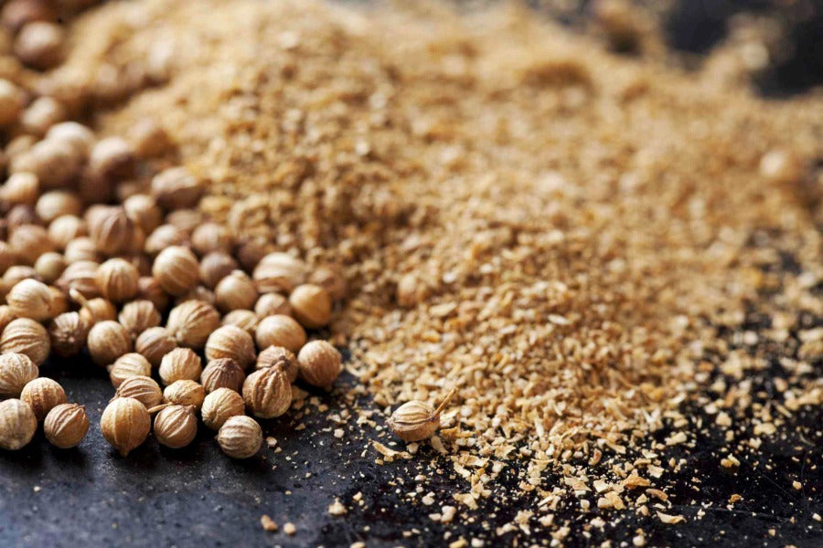 European Coriander Seed