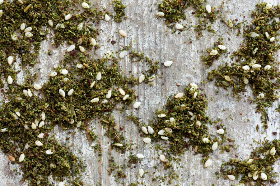 Green Za'atar