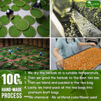 Premium Senna Peppermint Tea Bags. Relieves Constipation Natural Tea