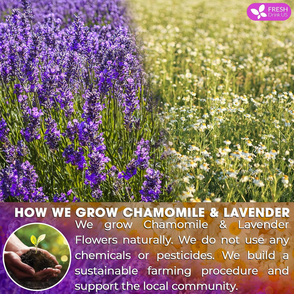 Premium Chamomile Lavender Tea Bags