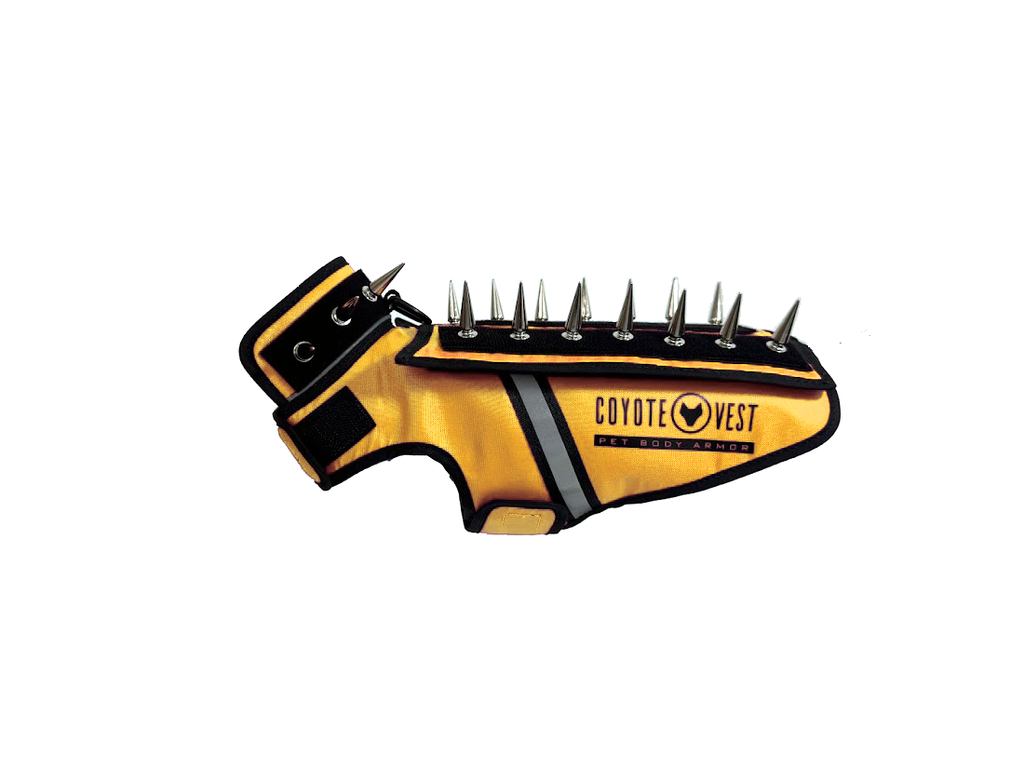HawkVest