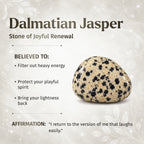 My World Has Color Again – The Dalmatian Jasper Pendant
