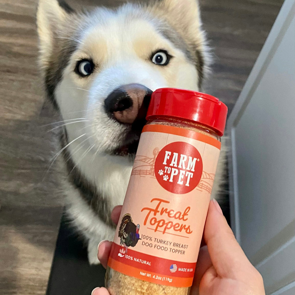 Treat Topper Turkey Dog Food Topper | Healthy Meal Supplement for Dogs