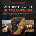 Butea Superba