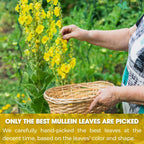Mullein Leaf Tea Bags