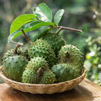 Soursop Leaf Elixir