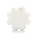 Coconut Verbena | Boxed Flower